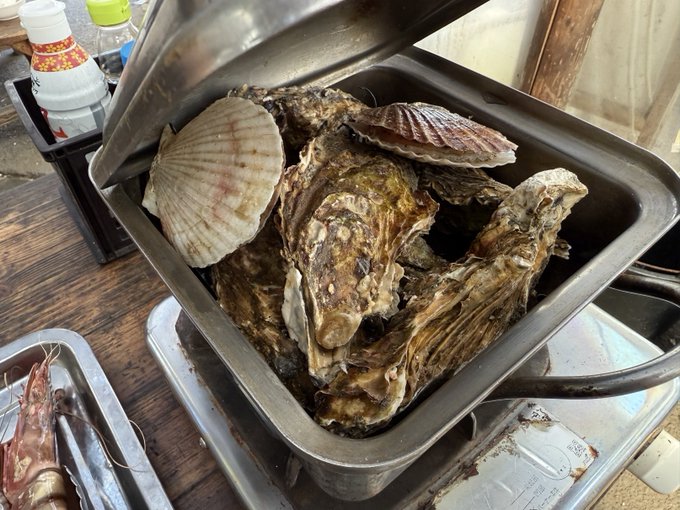 オイスター先生 