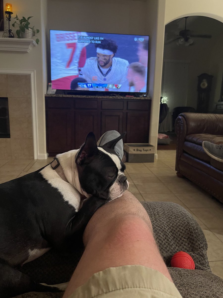 Penny Pie 🌈Stubby & Sugies🌈 tweet media