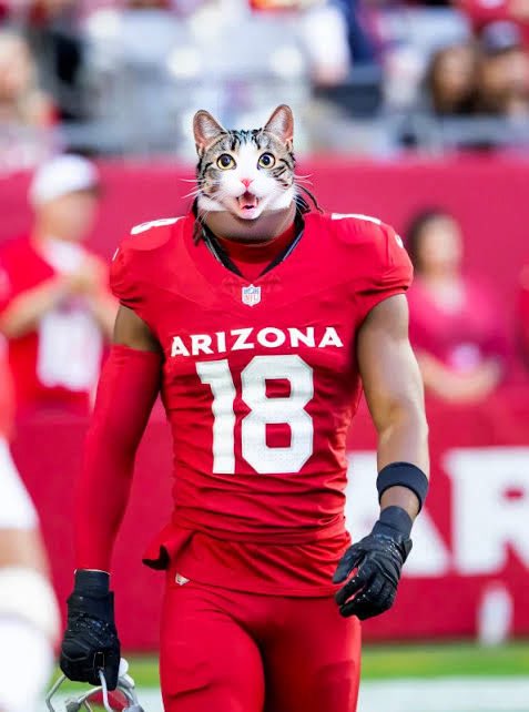 connerg94's tweet photo. Marvin Harrison Jr. tonight: @andyholloway @jasonmoore @FFHitman @TheFFBallers https://t.co/LmAzywXGDT