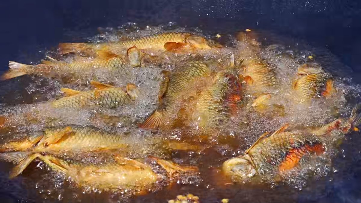 jzking2050's tweet image. 🌾🍳 No fancy kitchens, just iron woks &amp;amp; soil-scented ingredients! Longjiang’s rural chefs battled with rice-field fish, snails &amp;amp; free-range chicken—turning harvest into a feast that fuels village revival.
Taste the heart of Yunnan’s countryside. 
#CookingContest  #Food