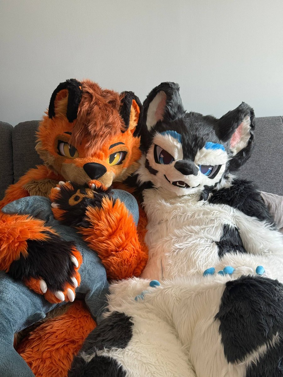 See you a the FBL <a href="/ArcticWolf_Be/">Ethraël #Fureast #ATT1</a> ! 💙

#FursuitFriday