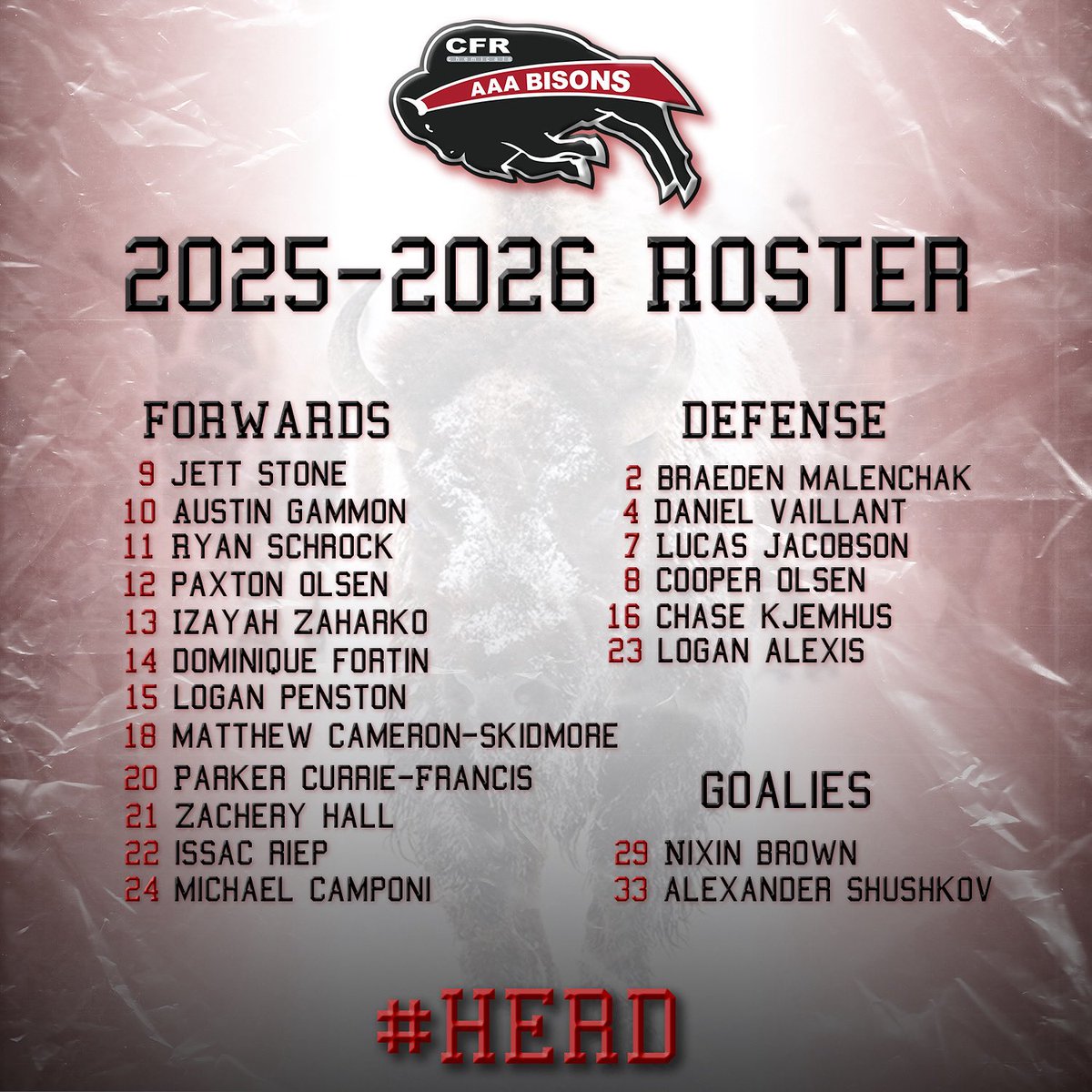 Please welcome your 2025-26 Airdrie CFR Bisons🦬

The boys are ready to kick off their season this weekend with a bang.

Sept 27th VS LJAC Oil Kings - Genesis Place

Sept 28th AT Calgary Royals - Stu Peppard Arena

#HERD