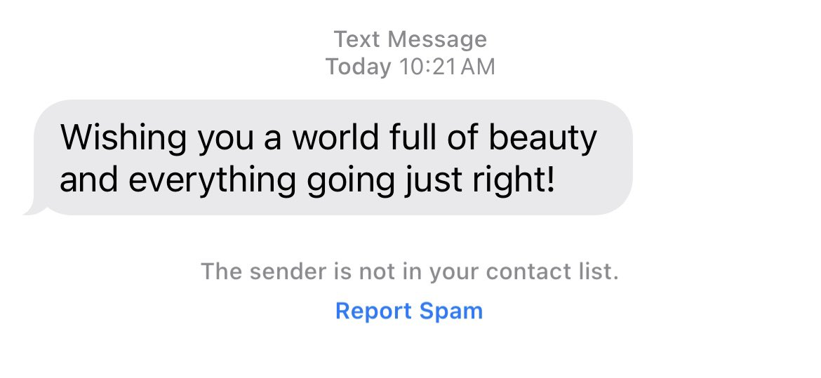 Why a scam text pulling me out of the brink of despair