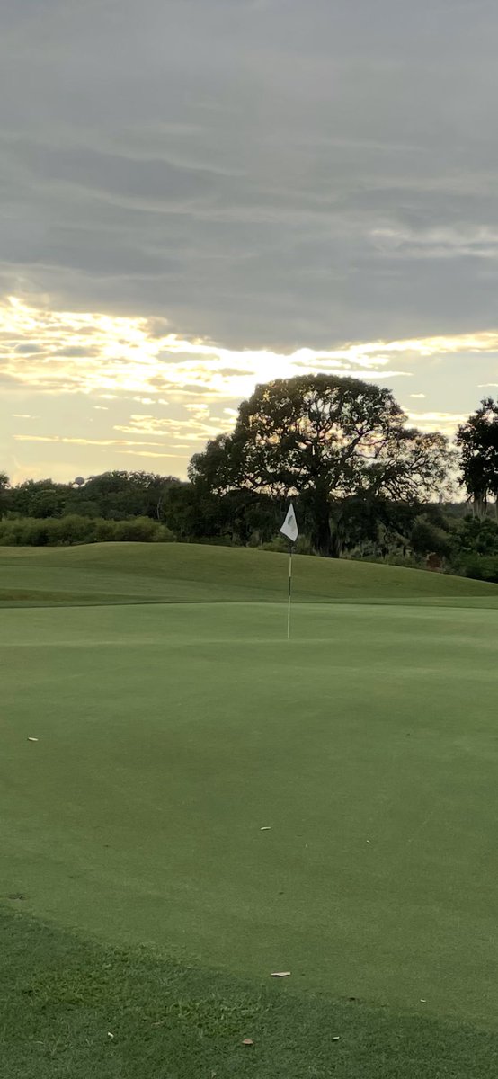 Great evening. ☺️