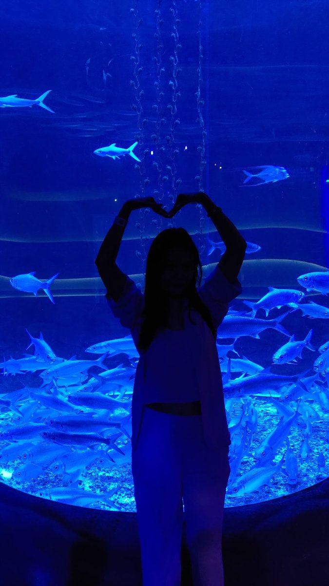 Omeigat's tweet photo. Pengen ke Jakarta Aquarium lagi deh, enak buat bengong disana sambil ngeliatin ikan wkwkwkw https://t.co/fG6UWX0tNE