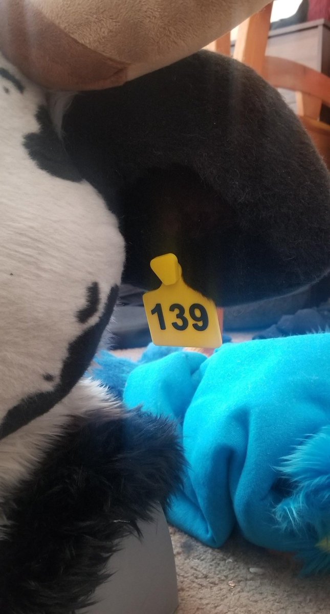 Someone is almost home! 👀