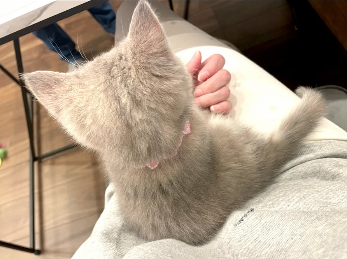 ♡おんぷ♡ onpu•♬•♫•。エンジ好き (@onpu_chan) / X