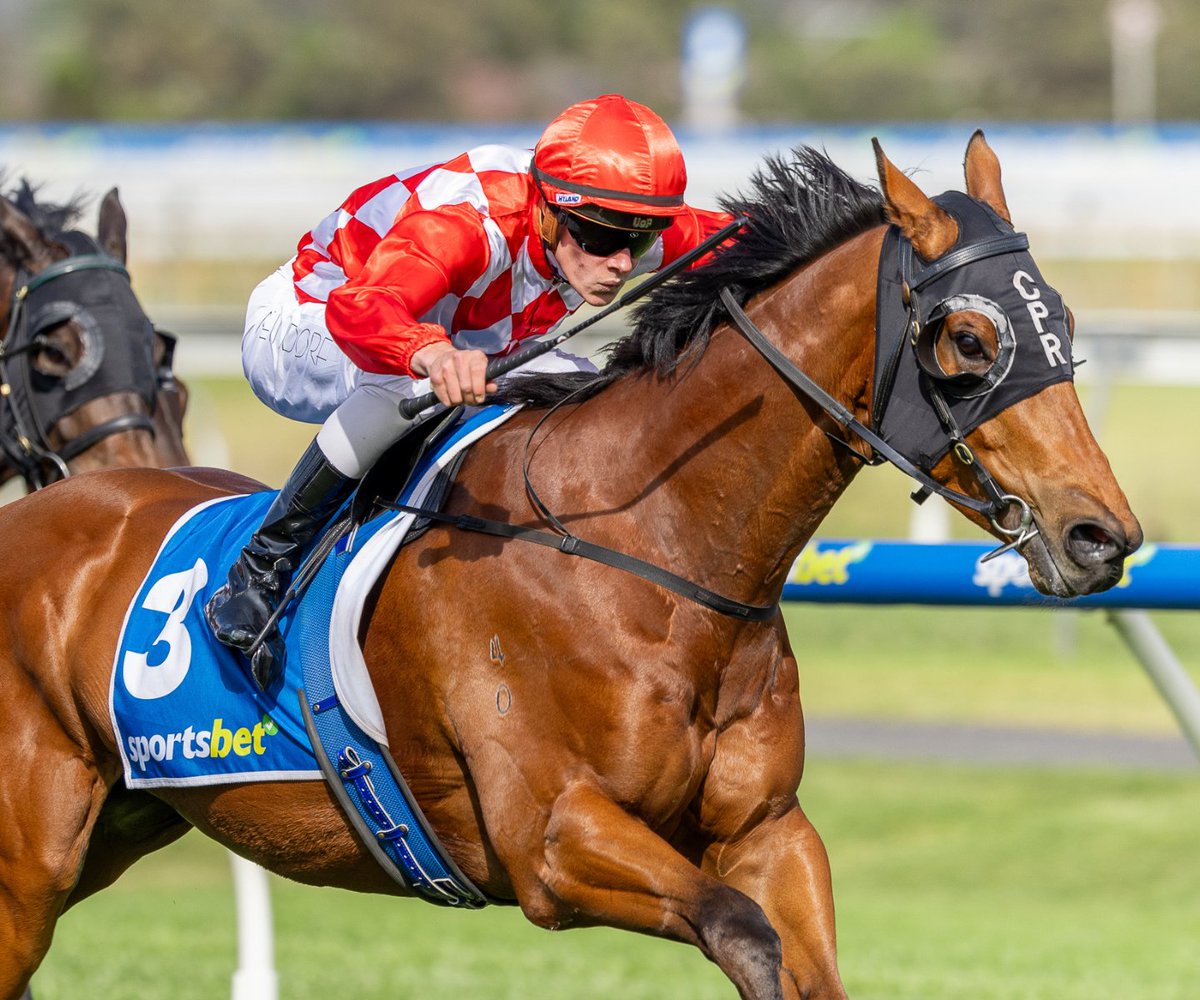 Lachy Neindorf will partner Sir Sway in the Group 1 Manikato Stakes tonight at Moonee Valley. Join us in wishing Lachy, Sue &amp; Jason Jaensch, Sir Sway, and all connections the best of luck! 

Watch them in action in R7 this evening 🏇