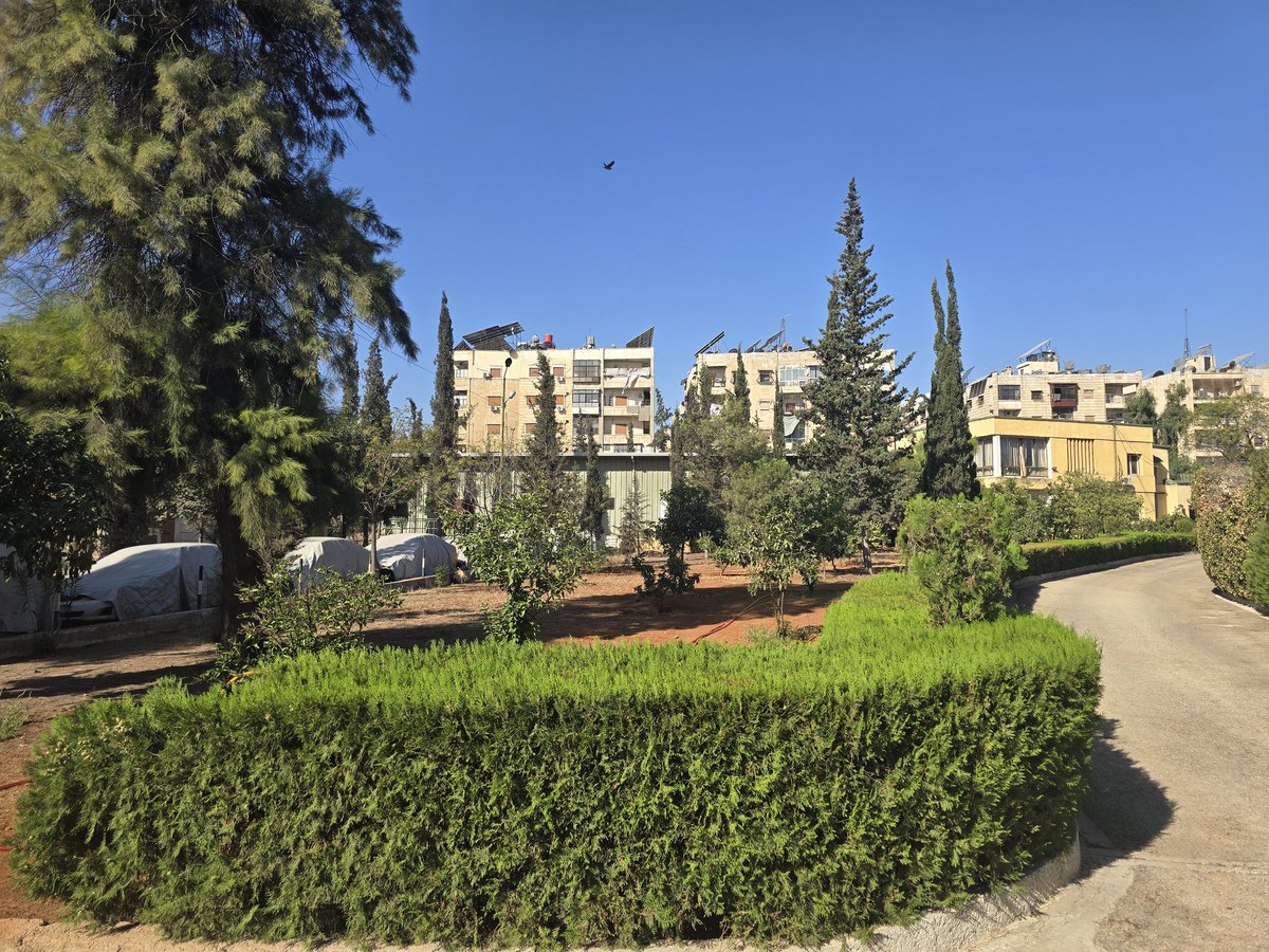 Very happy to be back to Aleppo Syria to visit the International School of Aleppo.Was very much welcomed by partners <a href="/FAO/">Food and Agriculture Organization</a>, <a href="/UNDP/">UN Development</a> <a href="/WFP/">World Food Programme</a> and othersreengage in Syria.