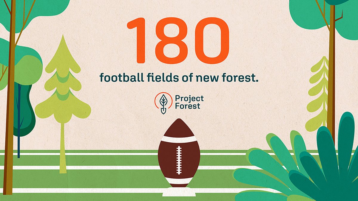 ProjectForest_'s tweet image. Imagine 180 football fields side by side.
Now fill them with young forests capturing carbon, cooling the ground, and sheltering wildlife.

That’s 2024’s impact in Alberta.
🌲 364,740 trees planted
🌿 119.4 hectares rewilded

Learn more: projectforest.ca/annual-reports #NationalForestWeek