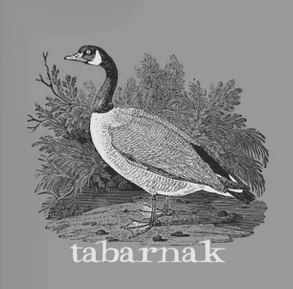 ItTechFromHell's tweet image. &apos;nuf said... 😆🤣