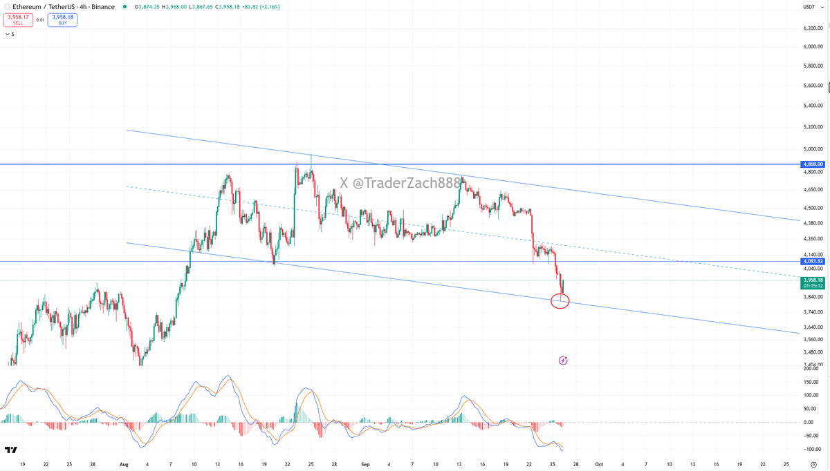 Trader Zach | 小扎 tweet media