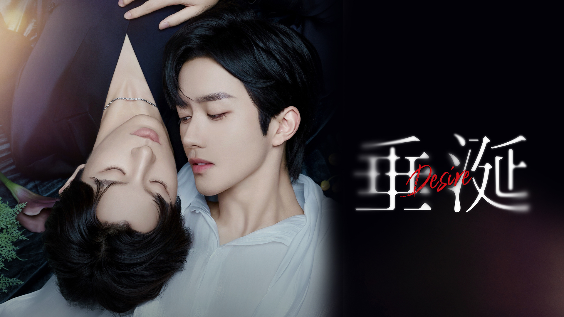 ⭐️韓流ドラマ　主題歌　挿入歌ＣＤ　10枚セット⭐️ SHOWROOM(ショールーム) | ライブ配信サービス