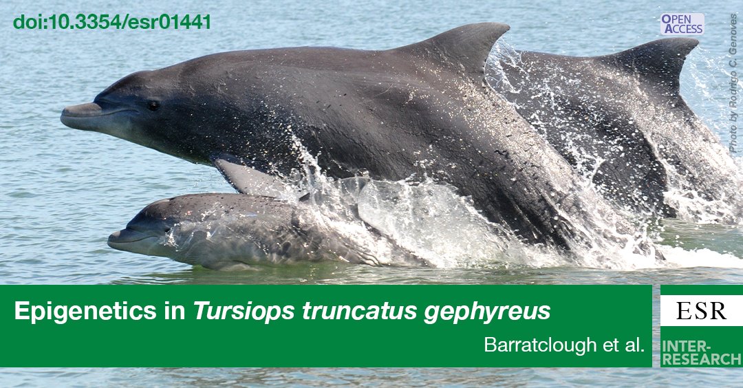 Endangered Species Research tweet media