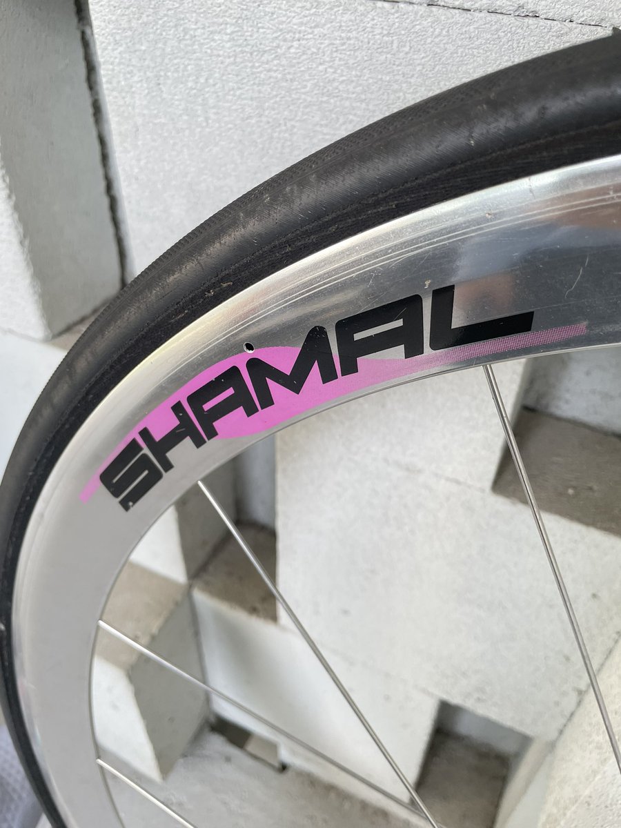 Y U DISH tweet media