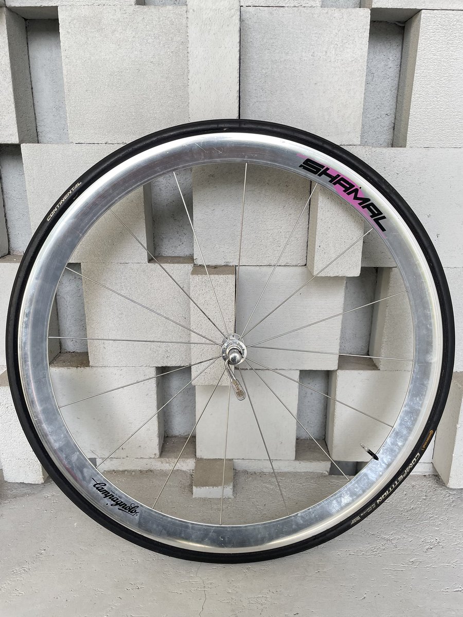 Y U DISH tweet media