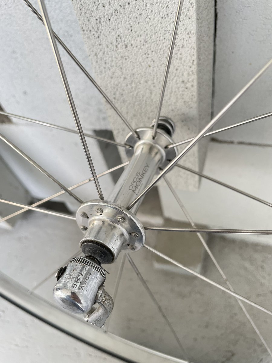 Y U DISH tweet media