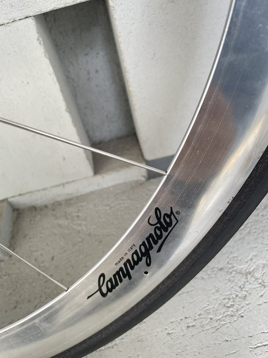 Y U DISH tweet media