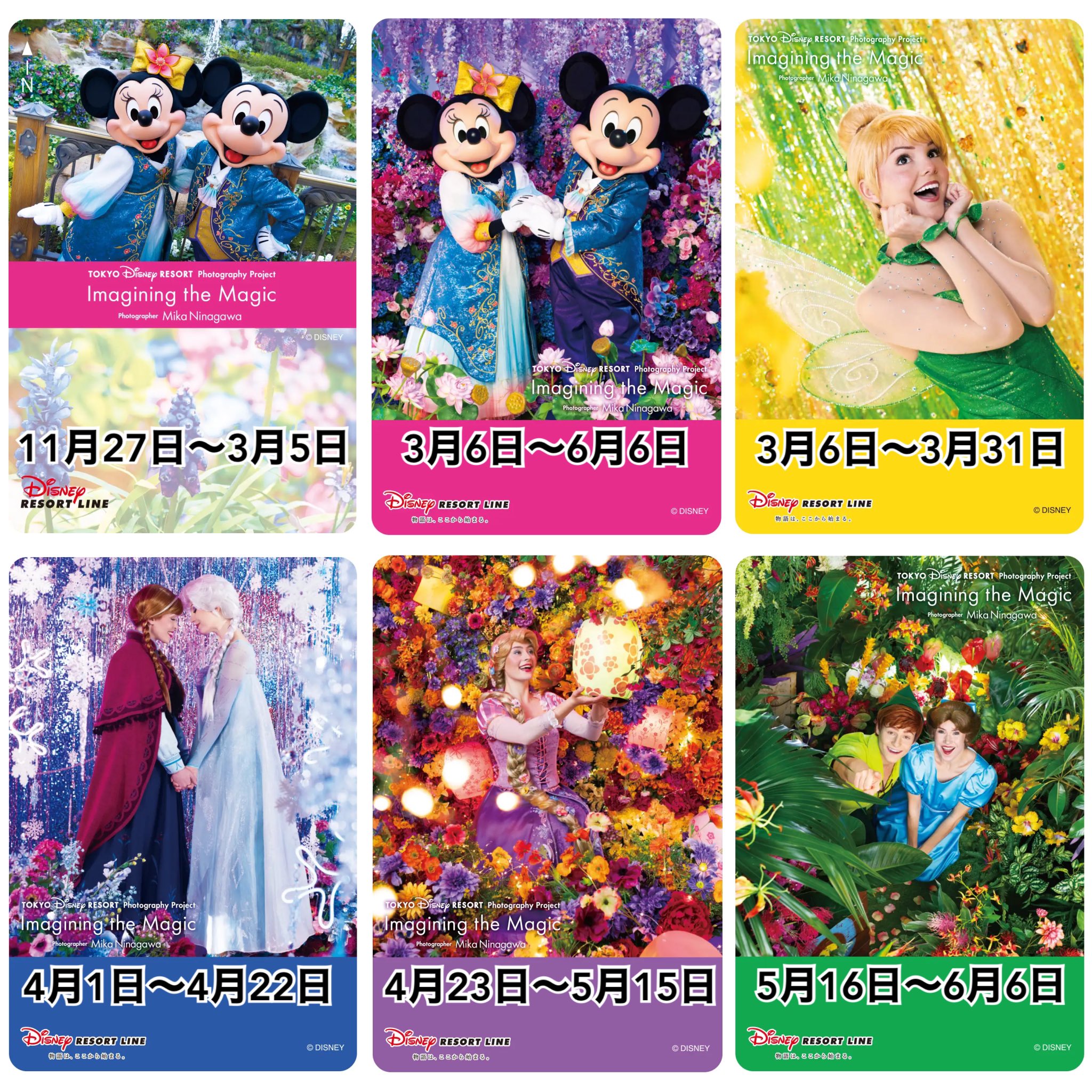 ❤️ディズニリゾート、確認用❤️ DtimesDream (@DtimesDream) / X