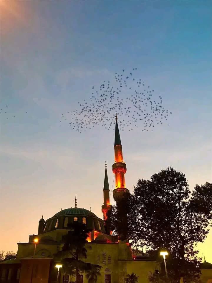 Müminin duası, Mümine ; Şifadır.. Rahmettir.. Berekettir.. İmandır.. Hidayetine vesiledir..! Rabbim bizleri birbirini düşünüp dua eden mü'min kullarından eylesin.
 Hayırlı Sabahlar 

Cumamız mübarek ola ..✍️⚓️