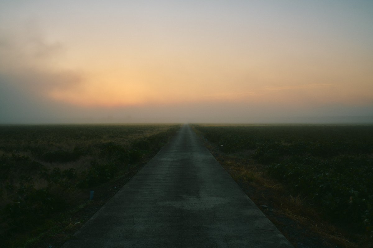 shintake_photo's tweet image. Eternum