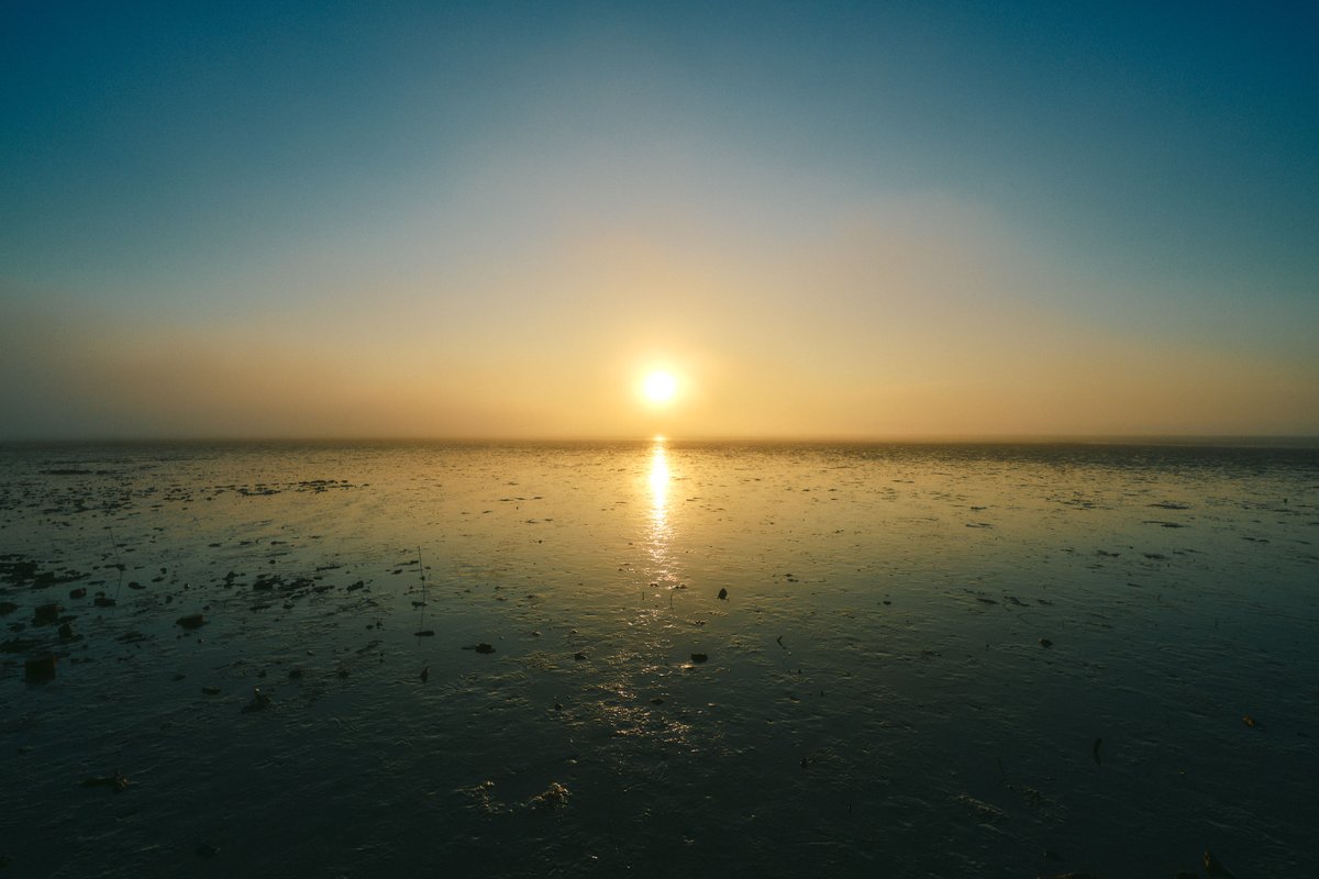 shintake_photo's tweet image. Eternum