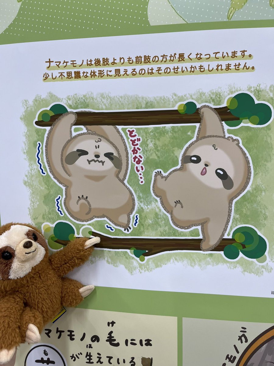 pecochanナマケモノ君✨アートドール pecochan様専用ナマケモノ君✨アートドール
