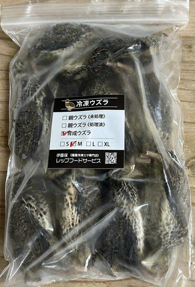 冷凍ヤワゲネズミ