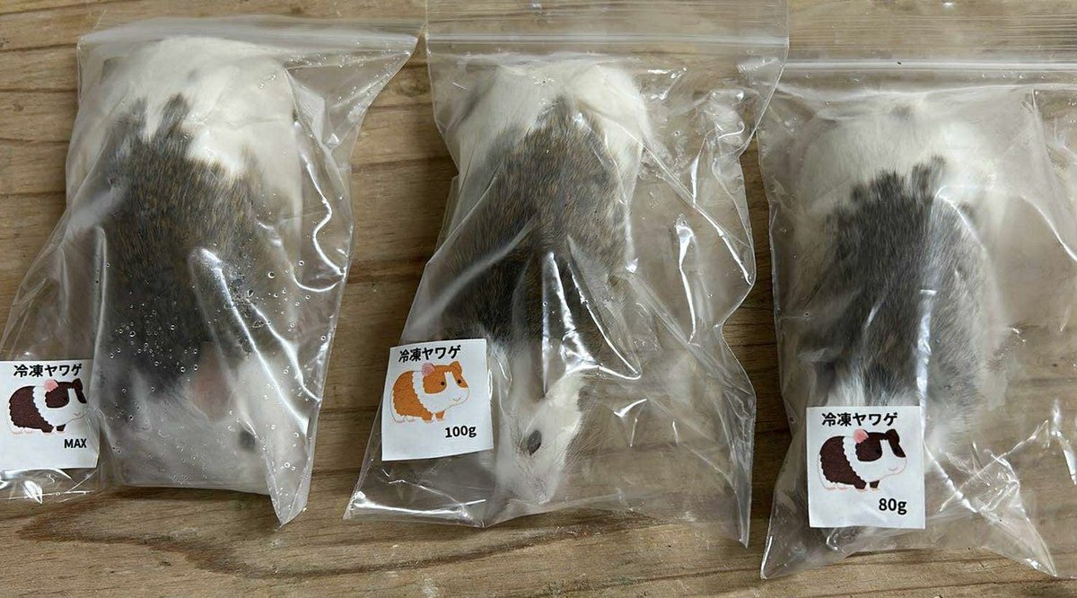 HIRO ページ冷凍ヤワゲMIXSize HIRO ページ冷凍ヤワゲMIXSize HIRO ページ冷凍ヤワゲMIXSize