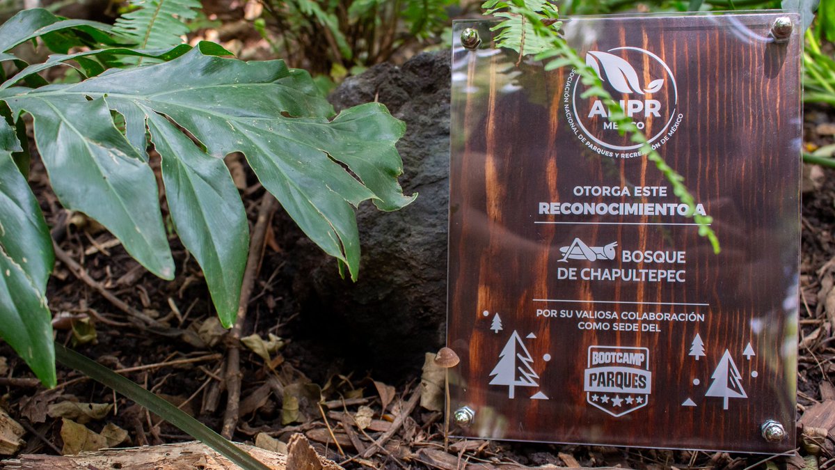 Bosque De Chapultepec tweet media