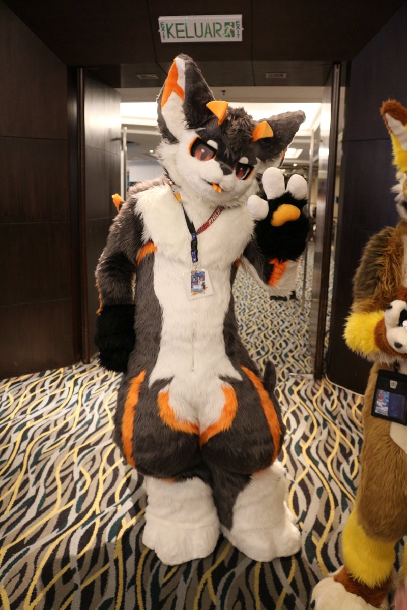 Time for an early morning Fursuit Friday! Just standing here being cute from FURUM 2024! XD

#FursuitFriday #FursuitEveryday #fursuiter #fursuiting #fursuit #Furry #kemono #kemonofursuit #furry #fursona