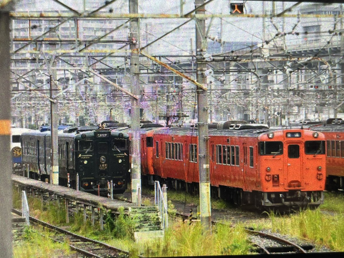 つばめ　うんてい こんな所にツバメの巣😆 | 広島の新築・注文住宅ならH.O.C