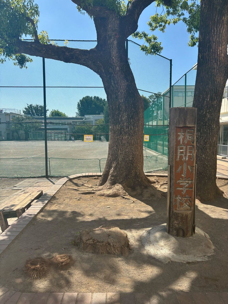 サピックス　SAPIX 理科　単科講座　フルセット❣️雪だるま サピックス SAPIX 理科 単科講座 フルセット❣️雪だるま様専用