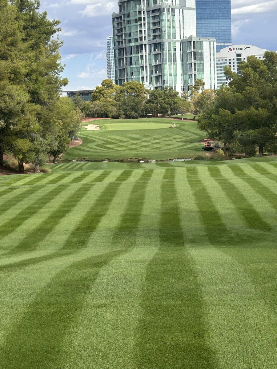 Jason Morgan tweet media