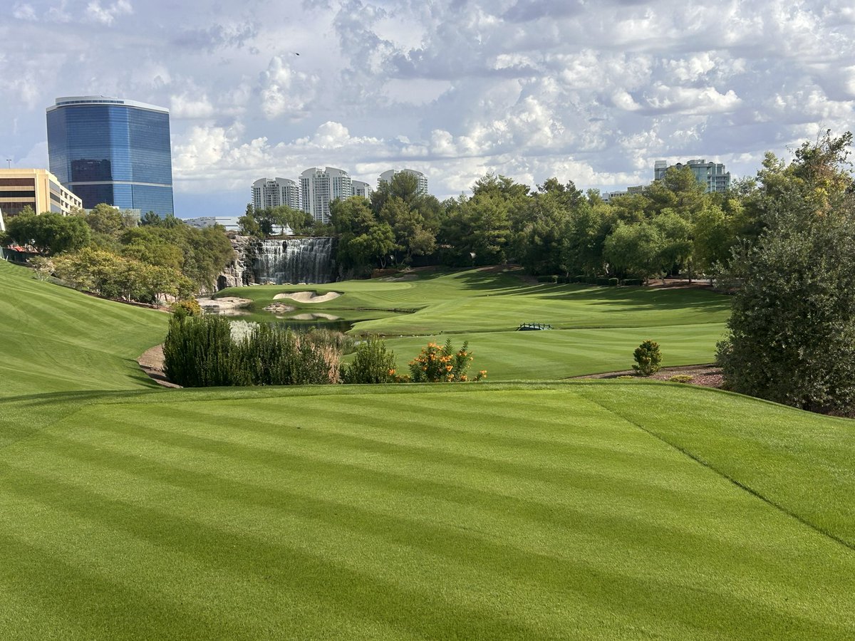 Jason Morgan tweet media