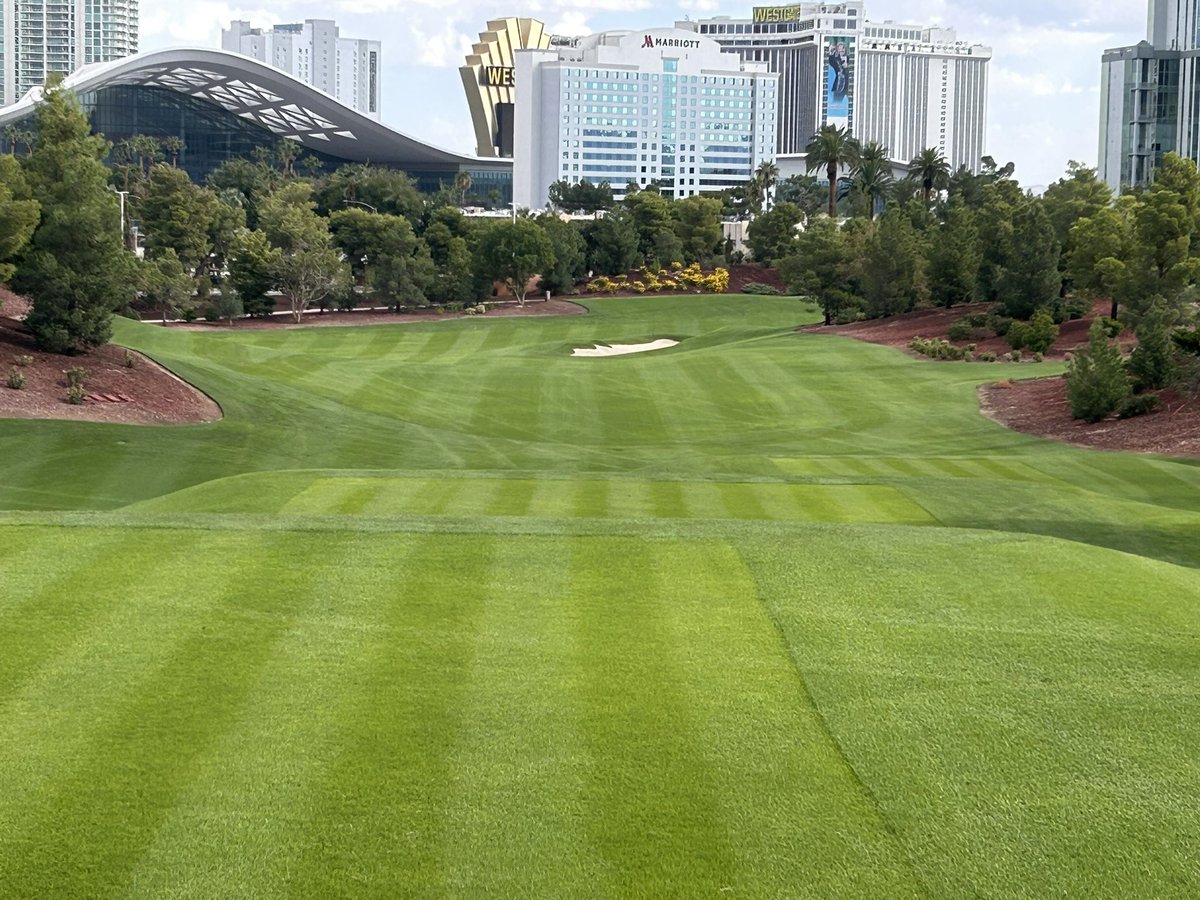 Jason Morgan tweet media