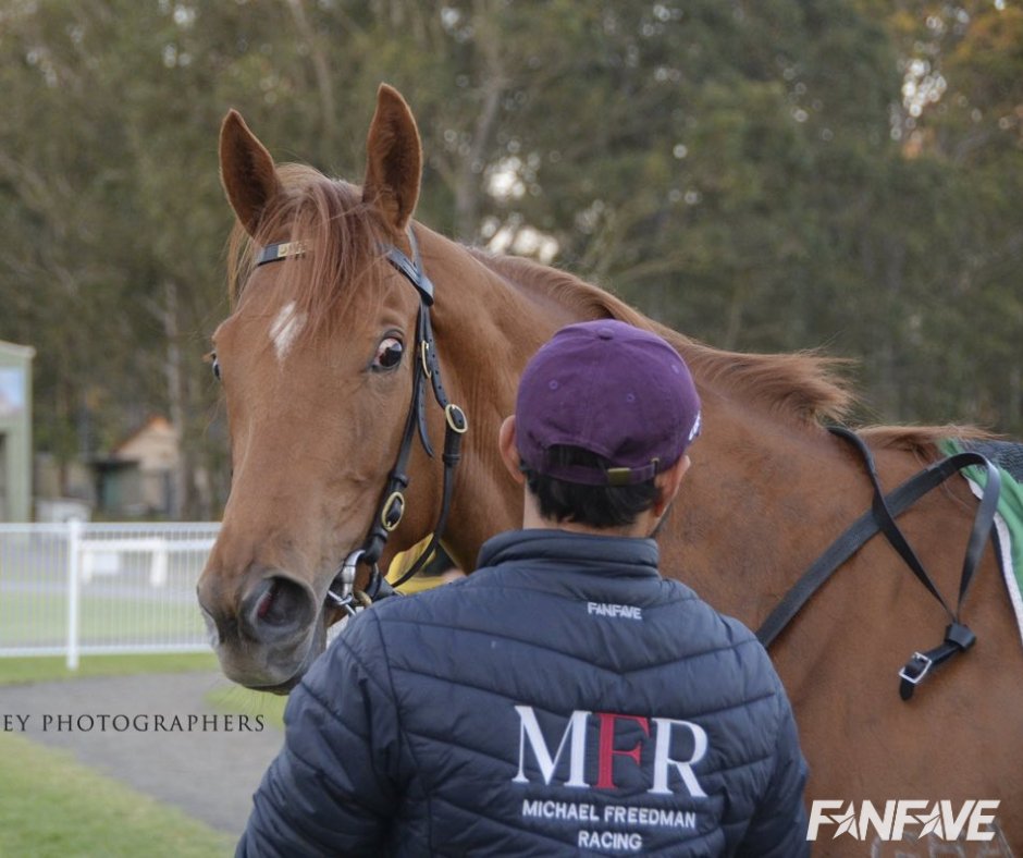 Hey you! Have you bought your Personalised MFR merch yet? 👀🏇
📸 <a href="/bradleyphotos_/">Bradley Photography</a>  @michaelfreedmanracing