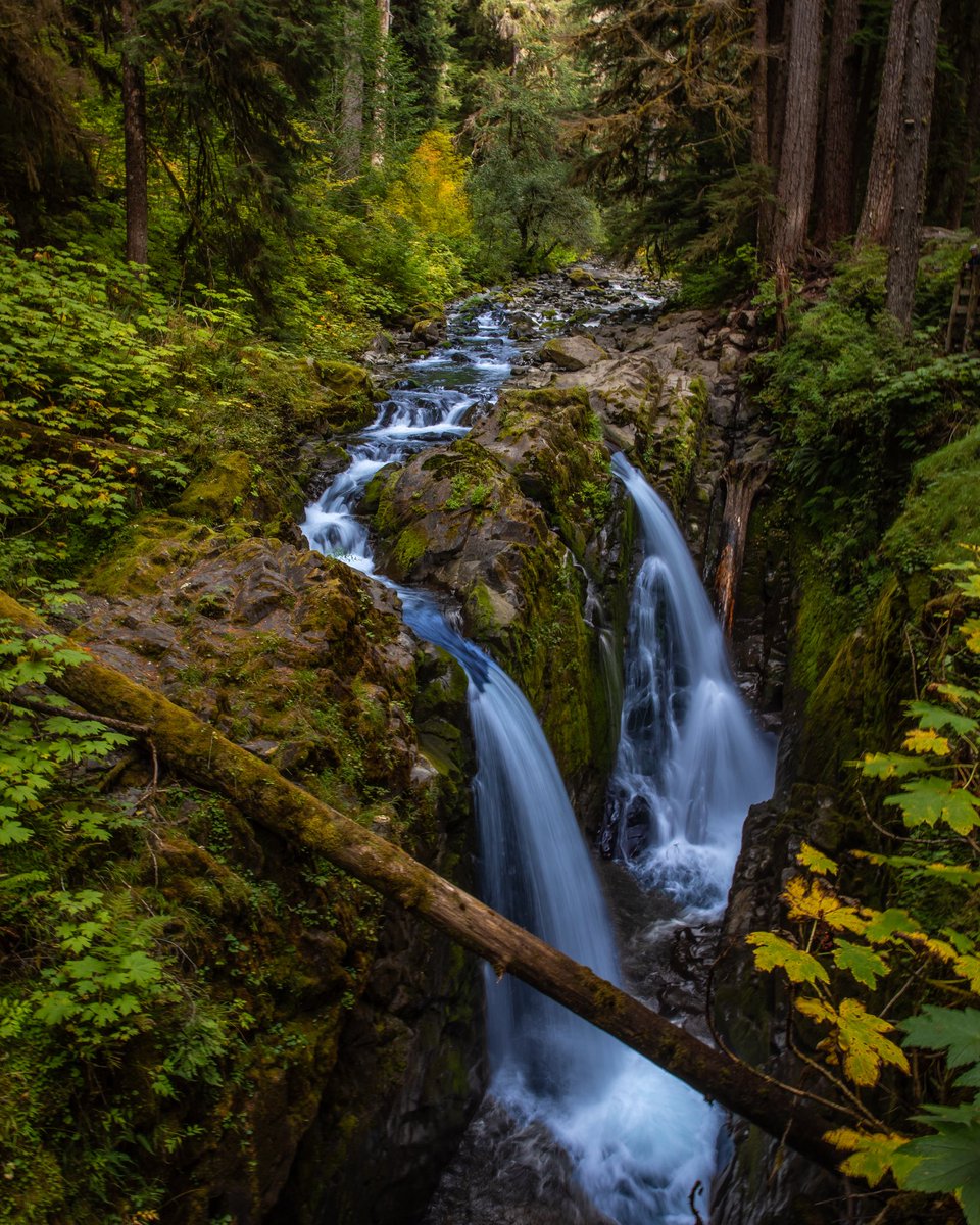 PNW giving me my first hints of fall!