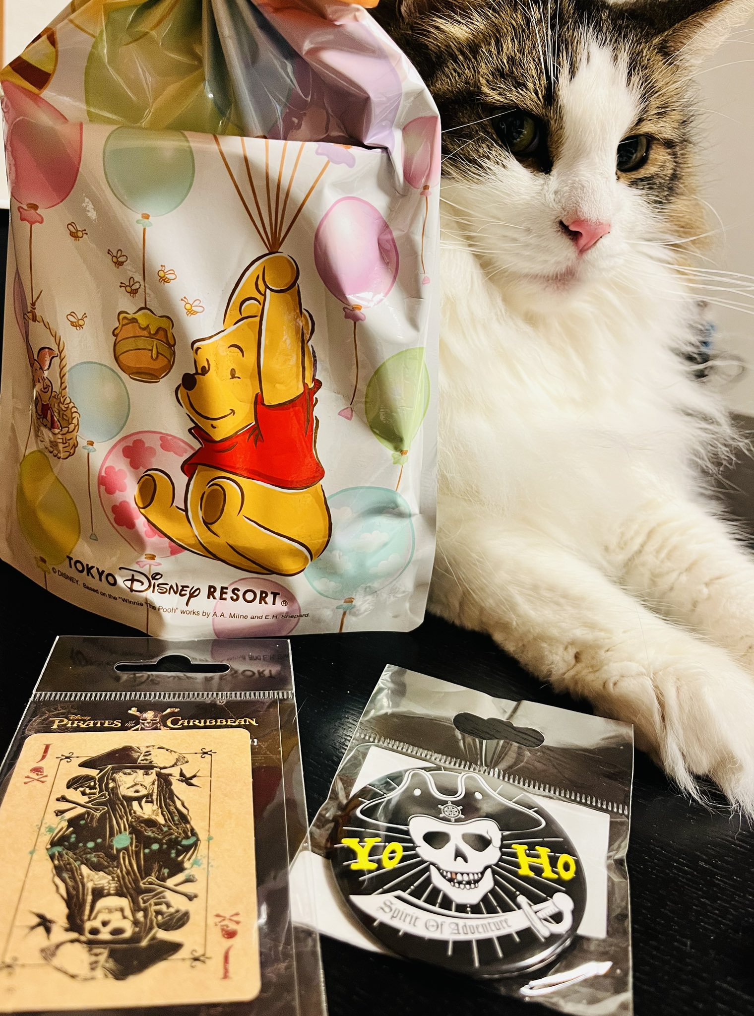 レアアイテム・オールー OOLOO ボンゾのお友達の猫 MERRYTHOUGT 楽天市場】音たま抱きぐるみ(ノアファミリー 猫グッズ ネコ雑貨