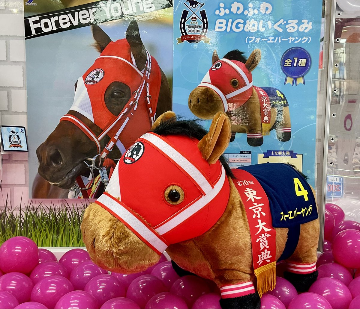 🐎景品投入情報🐎 #サラブレッドコレクション ふわふわBIGぬいぐるみ