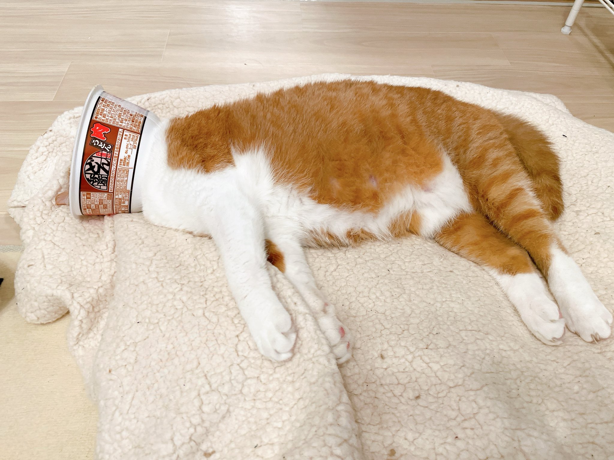 きなこ❣️ セブ最高すぎたー！🖐🏾🌺