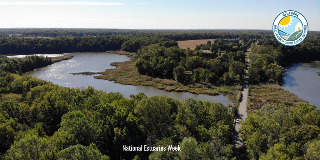 Delaware’s National Estuarine Research Reserve is one of 30 coastal sites designated to protect and study estuarine systems in collaboration with and service to surrounding communities. The research reserves cover nearly 1.4 million acres of estuaries nationwide.
