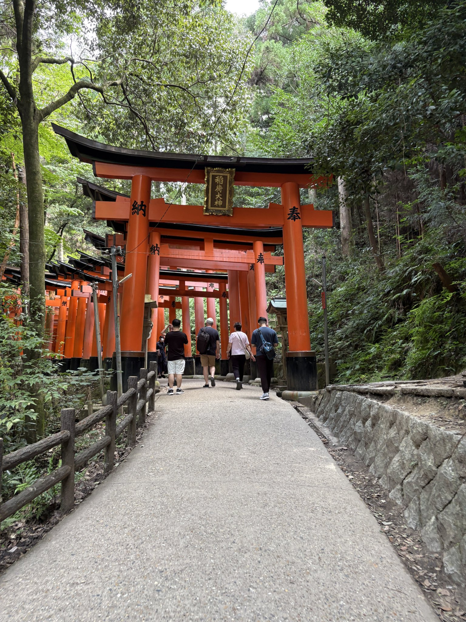 A2✨白龍と富士山 ✨ No. 10 虹の不死鳥No.5 【 宇治るぽさま専用】 富士山周遊観光プラン – 「Z-MOBILITY」オフィシャルサイト