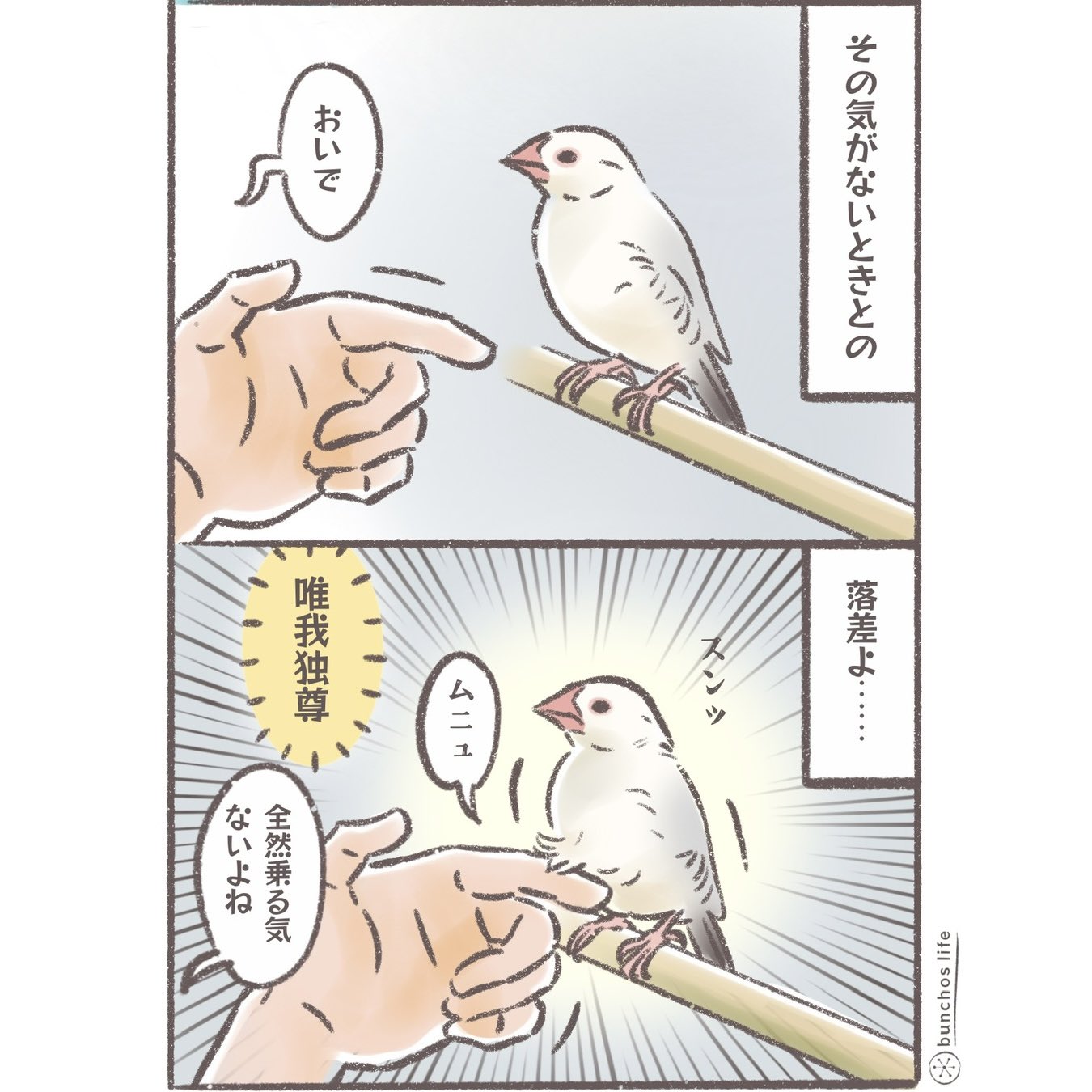 こむぎ様 こむぎ🕊️ (@komugi_chan55) / X