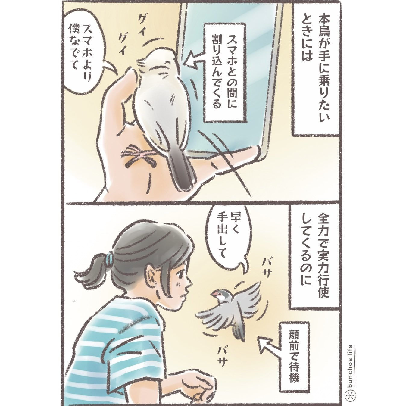 こむぎ様 こむぎ🕊️ (@komugi_chan55) / X