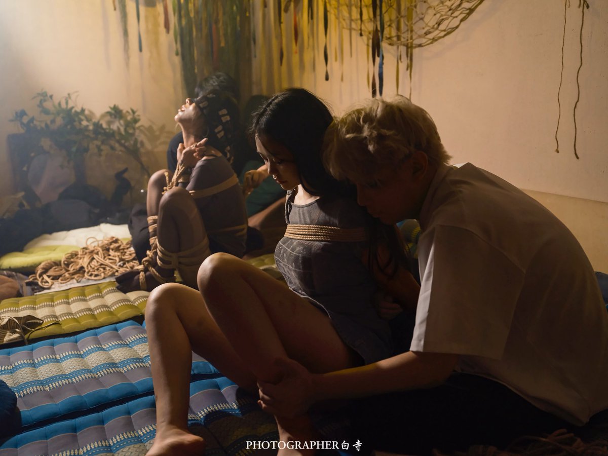 一只官 tweet media