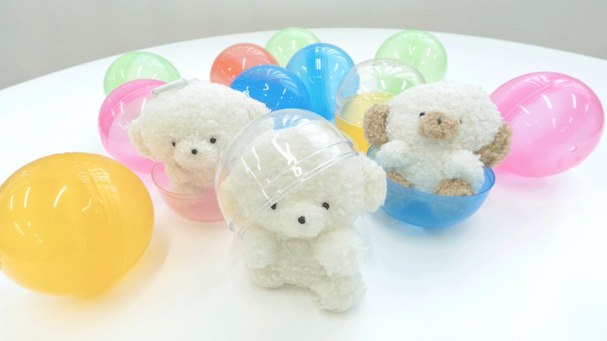 josemaru_model's tweet image. がちゃ　さいはん　きまちゃ　.ᐟ