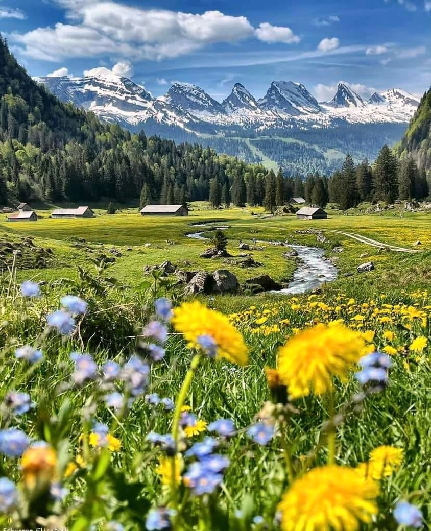 RubyJohnso68864's tweet image. Spectacular scenery in Toggenburg, Switzerland