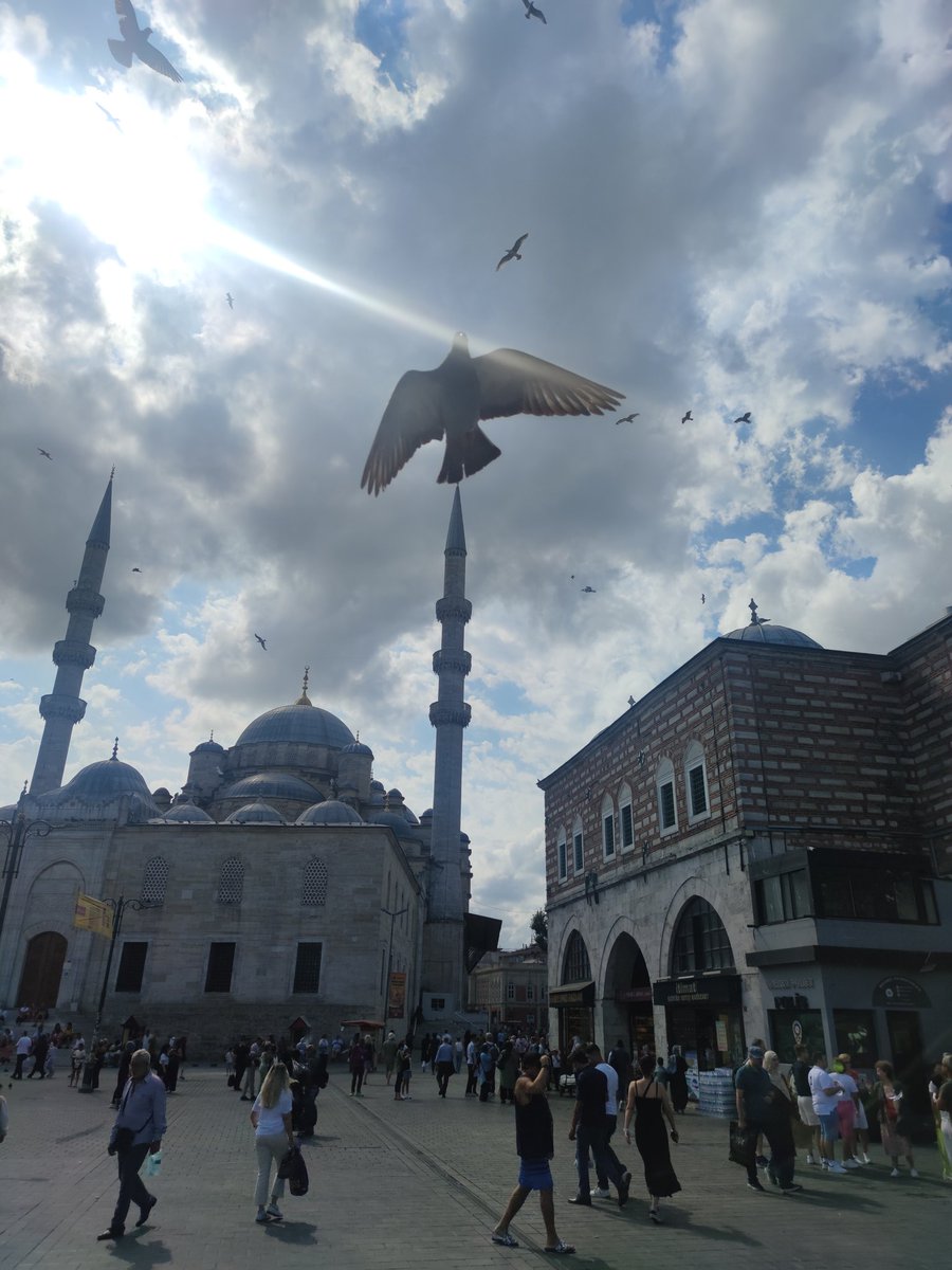 🇹🇷 Günaydınlar Türkiye'm 🇹🇷 Günaydınlar 💛 Fenerbahçe Ailesi 💙 Sağlıkla mutlu gönlünüzce güzel bir Cuma günü dileğiyle hayırlı işler bol kazançlar sevgiyle kalın 🇹🇷 #HayırlıCumalar