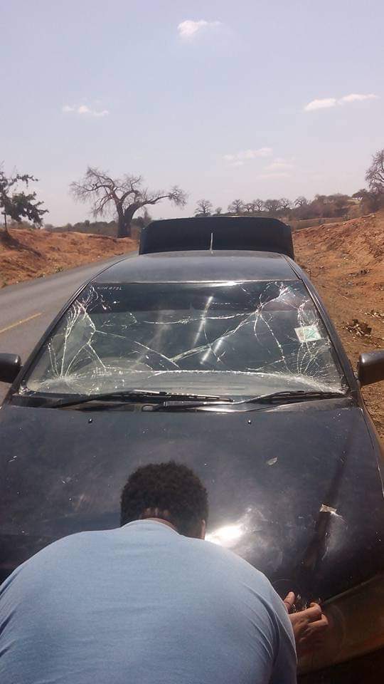 alasirimotors's tweet photo. An Encounter with Tsavo Lions

The year was 2021. I had just bought my first car a Mitsubishi Lancer Cedia for Kshs. 200,000 from my brother in-law. You remember the one I told you used to overheat like a Chinese phone? Yes, that one.
One Friday evening, my two friends, Mathew and Alfonso, and I decided to head to the coast for the weekend. With a full tank, we left Nairobi at 7 p.m., driving past Machakos into the wilderness on our way to Mombasa. We made a brief stop at Mtito Andei around 11 p.m. for a meal, then continued the journey.
Somewhere in the middle of nowhere up to this day I still don’t know where the Mitsubishi began losing power. After a few jerks, it stalled completely, just like that feeling you get when KPLC lights suddenly go off. Baaas same vibe.
Luckily, Alfonso was a trained mechanic, so he eased the tension by assuring us it was probably the usual overheating issue. It was about 1 a.m. Trucks passed by but none stopped. With only our torches for light, we opened the bonnet and confirmed the worst: the engine had overheated and blown. We were going to need a breakdown service to tow us back to Mtito.
Just as we were about to make the call, it happened. Out of nowhere, a huge shadow leapt on us, knocking us to the ground. Regaining my senses, I looked up and there it was. A massive black maned lion staring straight at us. My blood froze. I swear, I peed myself on the spot.
Panicked, we scrambled for the car. Mathew and I squeezed inside, but before Alfonso could get in, the lion grabbed him by the leg and dragged him into the bush. His cries still haunt me to this day: “Waaaaiii, nisaidieni! Waaaaiii, nisaidieni!” I wanted to go after him, but Mathew grabbed my hand and hissed, “Buda! Kwani wewe ni Samson? Unaweza pigana na simba?” I shook my head. Reality hit me I couldn’t do a thing. We clutched each other inside the car as Alfonso’s screams faded into the night.
No vehicles had passed for a long while. Our phones had dropped during the chaos, and Mathew warned me not to get out: “Hizo vitu bado ziko around. Usitoke nje, buda.” We sat quietly in the locked car, waiting.
Then BANG! Something slammed onto the windshield. A second lion had returned. It climbed onto the hood, staring right at us through the glass. My whole life flashed before me. This was it ! the end. All my savings, my family, and worst of all, I was leaving my Nyashful Digo girlfriend to the hungry men of this country ! Especially those from Western Kenya ! 
I whispered a desperate prayer: “Ewe Mwenyezi Mungu, nisaidie.”
Mathew signaled me to stay low beneath the steering wheel. The lion roared, then slammed its paw against the windshield, cracking it but not breaking through. Thank God for modern car glass it held strong. Blood droplets trickled as the lion hurt itself trying to smash its way in. For a moment, we thought this was truly the end.
Then, suddenly, a powerful beam of yellow light flooded the car. The lion leapt off the bonnet and vanished into the thicket. A Maasai truck driver had spotted us and stopped. As I later learned, Maasai men draw courage when facing lions. He not only stopped but actually pursued the lion into the bush, where he found Alfonso badly injured but alive.
We rushed him into the empty truck, which the driver flew like an ambulance to the nearest town. Miraculously, Alfonso survived. To this day, he has never told us what happened in that bush with that black-maned lion.
One thing I know for sure: me and locally used second-hand cars never again.
The picture below is of the Mitsubishi the following morning, after it was towed.